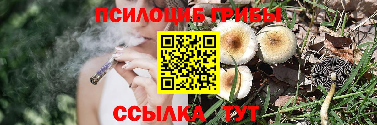 Псилоцибиновые грибы мухоморы Волгоград