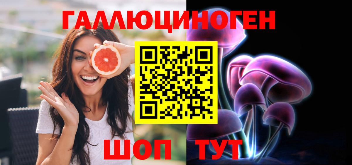 купить наркоту  Вход с VPN  Волгоград  Псилоцибиновые грибы Psilocybine cubensis 